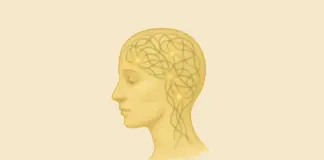 Illustratie van een vrouwelijk hoofd met transparante contouren, waarin een netwerk van gedachten en lichtpunten zichtbaar is – staat symbool voor: geloof niet alles wat je denkt