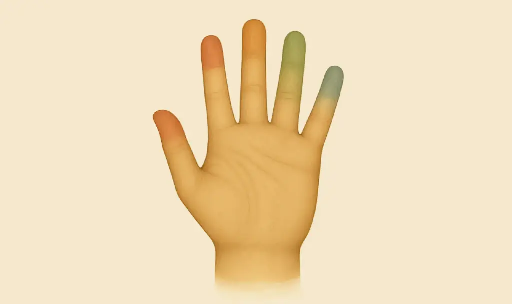 Hand met vijf gekleurde vingertoppen als visuele steun bij het herkennen van vijf wervelingen van de geest.