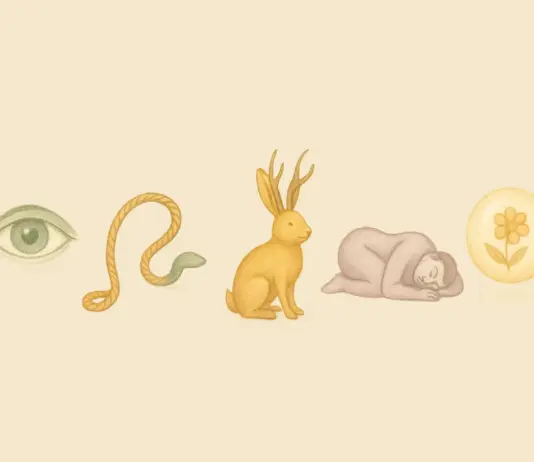 Coverafbeelding overzicht vijf soorten vṛtti’s uit de Yoga Sutra van Patanjali, illustratie van mentale bewegingen in yoga