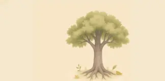 Ontdek hoe oefening met toewijding volgens soetra 1.14 rust, kracht en helderheid brengt door tijd, continuïteit en liefde voor wat je doet.