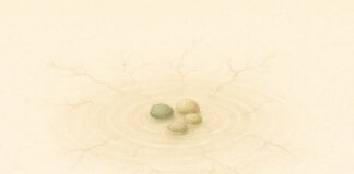 Obstakels als richtingaanwijzers - stenen in een vijver