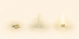 Van verstoring naar focus: een beweging in drie stappen